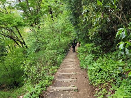 山道 山道の写真