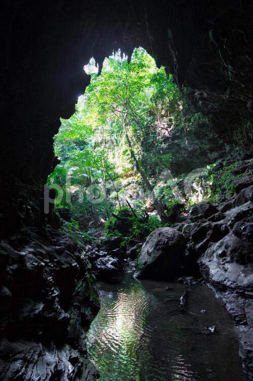 西表島の洞窟 洞窟,鍾乳洞,探検の写真素材