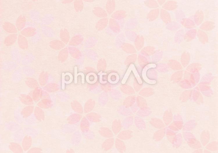 ピンクの桜柄の背景 桜,花,和紙の写真素材