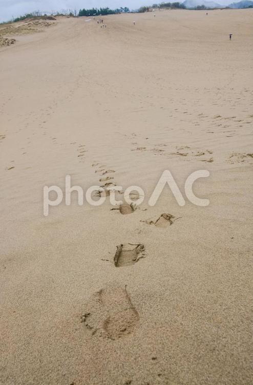砂丘　足跡　 孤独,旅,砂の写真素材