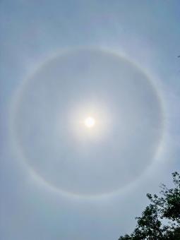 太陽 太陽の写真