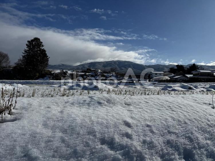 長野県塩尻市の田んぼの雪景色 雪景色,雪,自然の写真素材