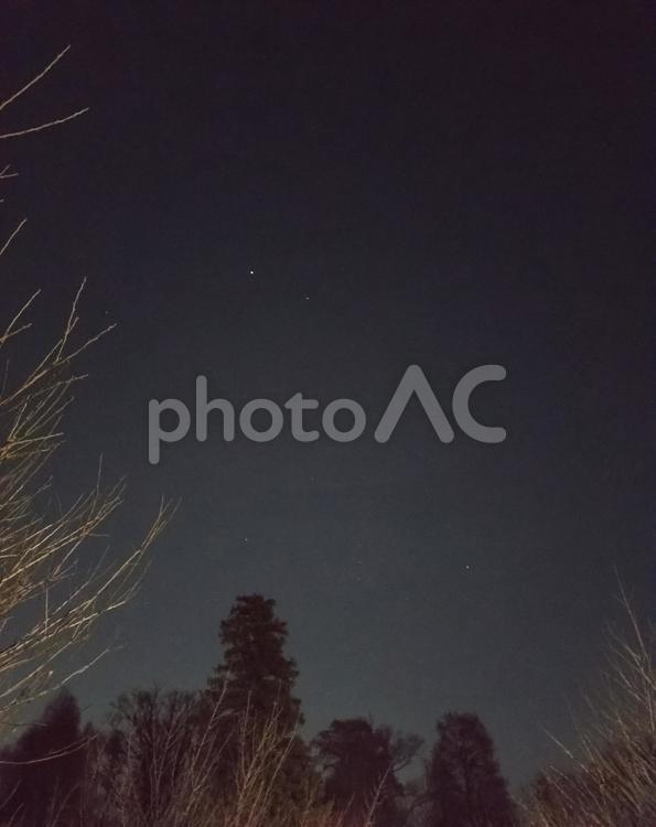 夜の森から見える星空 夜空,空,夜の空の写真素材