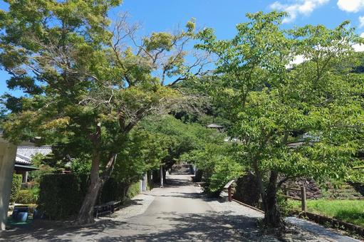 Photo, chohoji temple, temple, mount keitoku, 