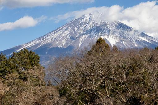 白糸の滝展望台から見える富士山 白糸の滝展望台から見える富士山 白糸の滝,展望台,真冬の写真素材