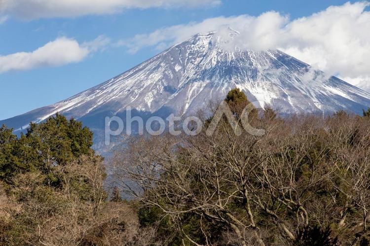 白糸の滝展望台から見える富士山 白糸の滝,展望台,真冬の写真素材