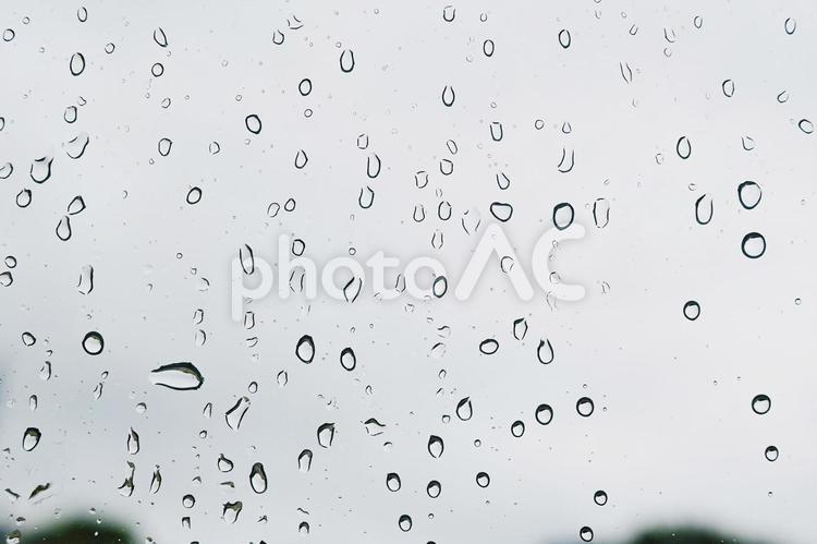 水滴　しずく　水 水滴,しずく,水の写真素材