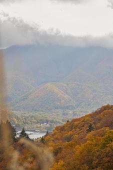 紅葉が織りなす秋の雄大な渓谷 紅葉,秋,秋の風景の写真素材