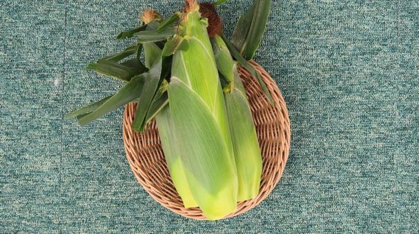 とうもろこし とうもろこし 食材,野菜,とうもろこしの写真素材