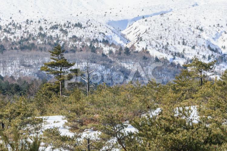 浅間山 浅間山,雪山,青空の写真素材