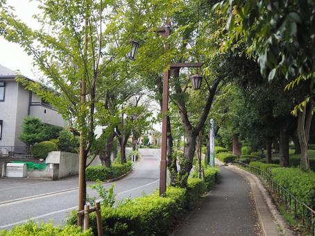 祖師ヶ谷の街並み(東京都・世田谷区) 祖師ヶ谷の街並み(東京都・世田谷区) 祖師ヶ谷,街並み,成城9丁目の写真素材