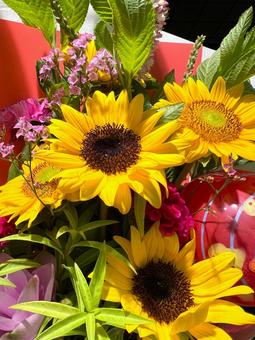 ひまわりのブーケ ひまわりのブーケ ひまわり,ブーケ,花の写真素材