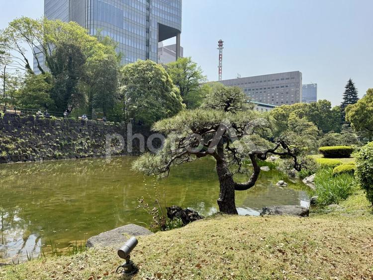日比谷公園　心字池 霞ヶ関,千代田区,都会の写真素材