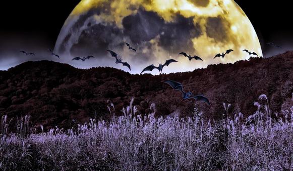 ハロウィンイメージ素材/幻想の月夜の山野 ハロウィンイメージ素材/幻想の月夜の山野の写真