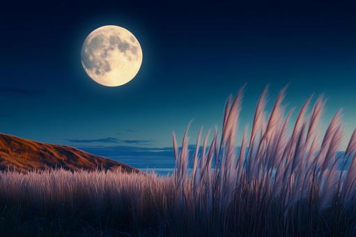 背景素材お月見 背景素材お月見の写真