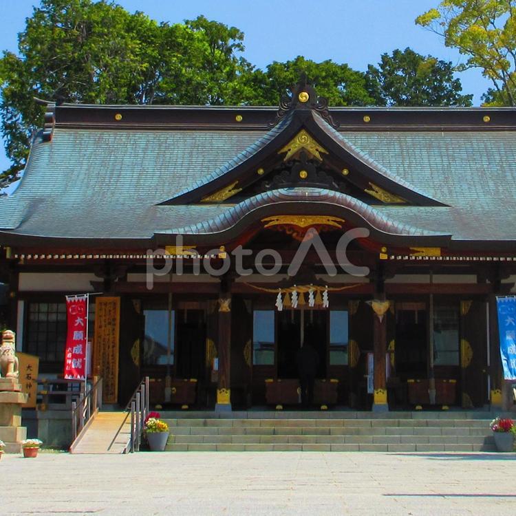 兵庫県-赤穂大石神社-拝殿-近景 赤穂,大石神社,神社の写真素材