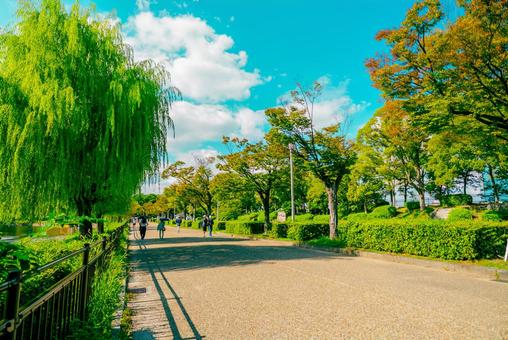 【大阪】大阪城の雰囲気 大阪城,公園,大阪城公園の写真素材