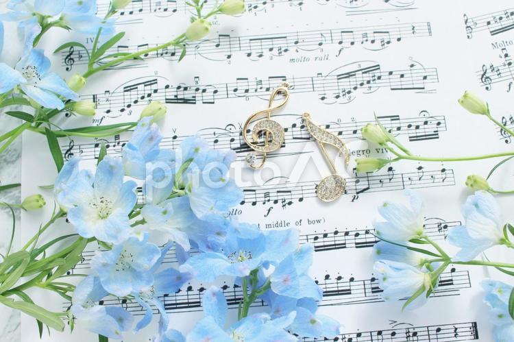 花と音楽 青,花,背景の写真素材