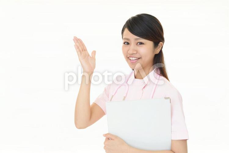 案内する笑顔の看護師 女性,女,看護師の写真素材
