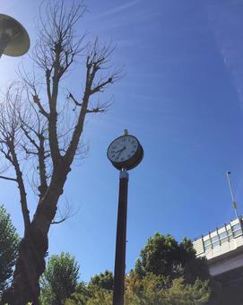 青空と時計 青空と時計の写真