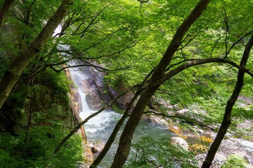 250527昇仙峡 山梨県,甲府市,昇仙峡の写真素材