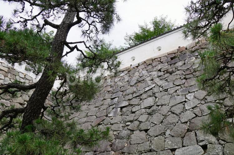 福山城の石垣 福山城,福山,城の写真素材