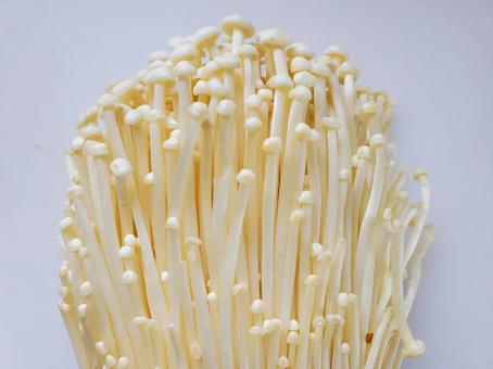 えのき茸　接写の写真