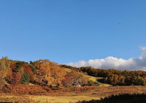山田牧場付近2 山田牧場付近2 山,里山,風景の写真素材