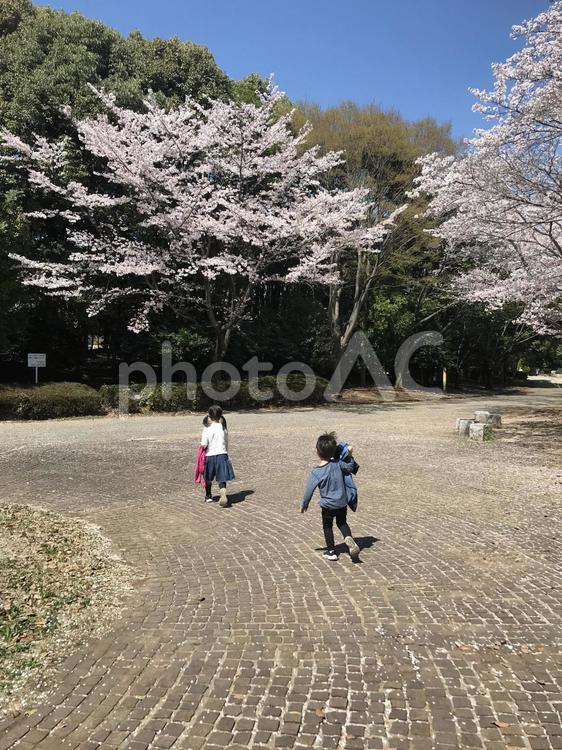 子供と公園 木,風景,公園の写真素材