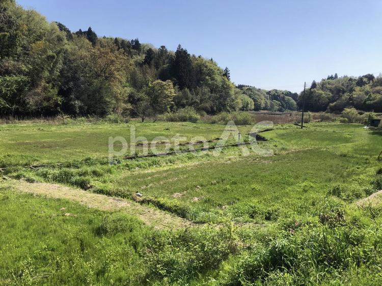 田舎の風景 自然,風景,景色の写真素材