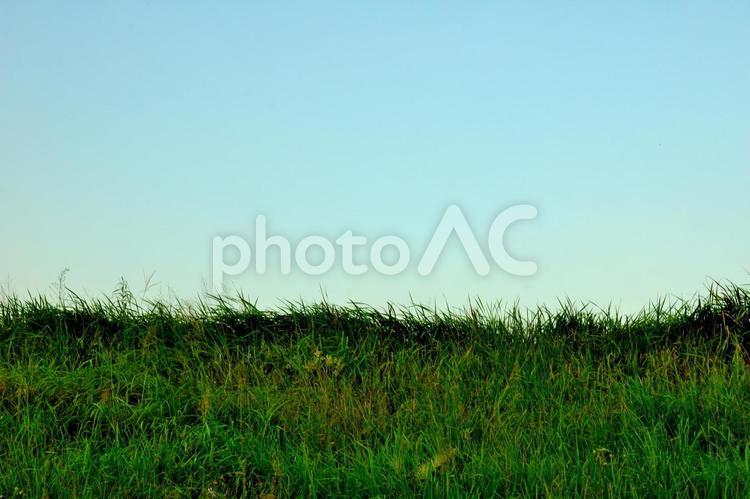 秋の夕方の草原と空 空,風景,夕方の写真素材