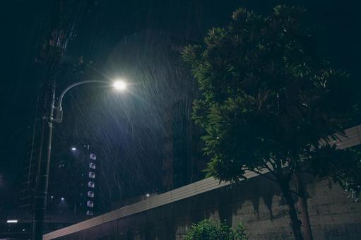 雨と光 雨と光 電灯,真夜中,雨の写真素材