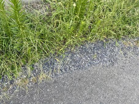 雑草 雑草 雑草,草,道草の写真素材