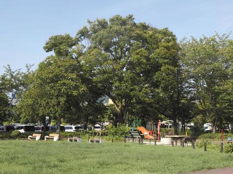 昼の公園 昼の公園の写真