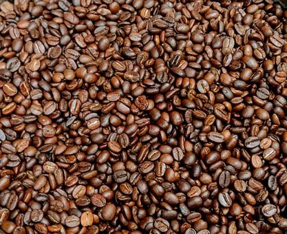 焙煎したコーヒー豆 珈琲豆,コーヒー,焙煎の写真素材