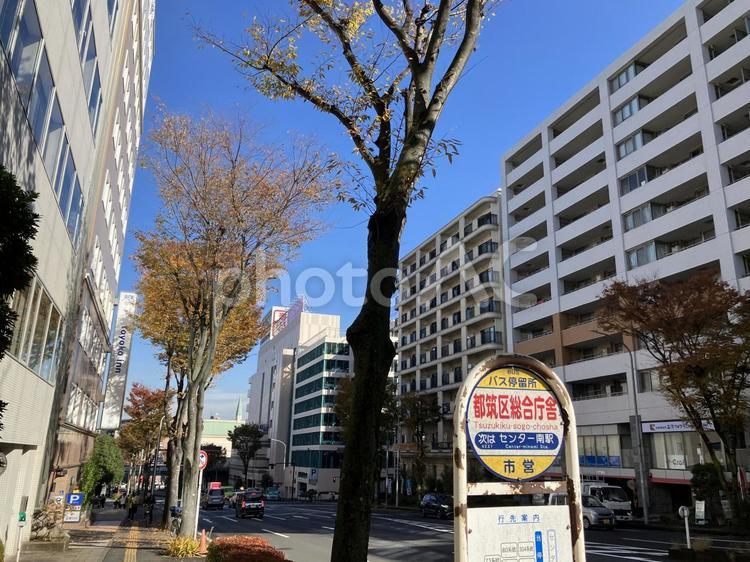 都筑区総合庁舎周辺の区役所通り 都筑区総合庁舎,区役所通り,センター南の写真素材