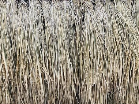 藁テクスチャーの写真
