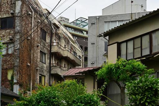 蔦が這う古アパート 蔦が這う古アパート アパート,建物,老朽化の写真素材