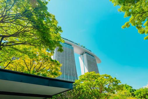 【シンガポール】マリーナベイサンズ 【シンガポール】マリーナベイサンズ シンガポール,植物園,ベイフロントの写真素材