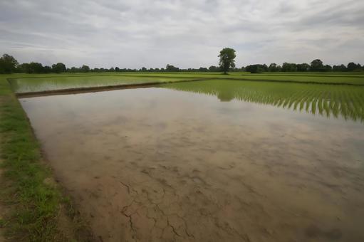 水鏡の田園風景の写真