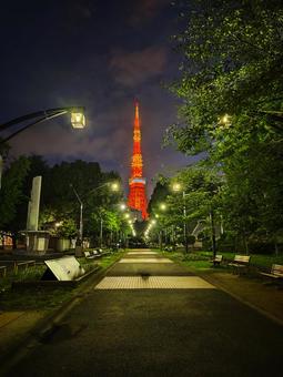 夜の並木道と輝く東京タワー 東京タワー,夜景,ライトアップの写真素材