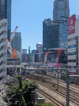 東京渋谷 東京渋谷 東京,日本,渋谷の写真素材