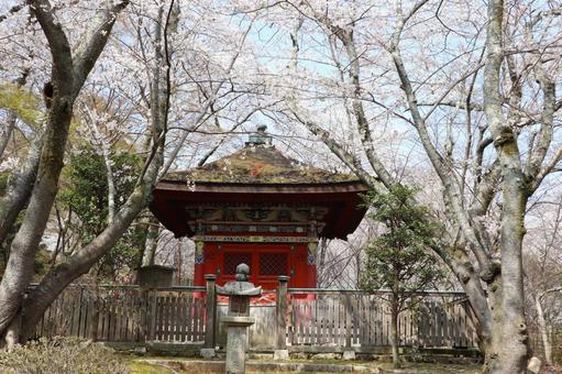 三井寺(園城寺)毘沙門堂 三井寺(園城寺)毘沙門堂の写真