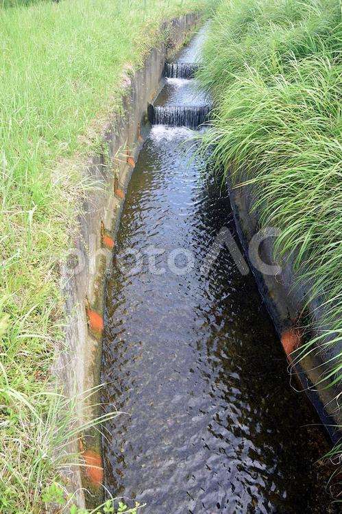 涼し気な用水路の流れ 用水路,農業用水路,水の写真素材