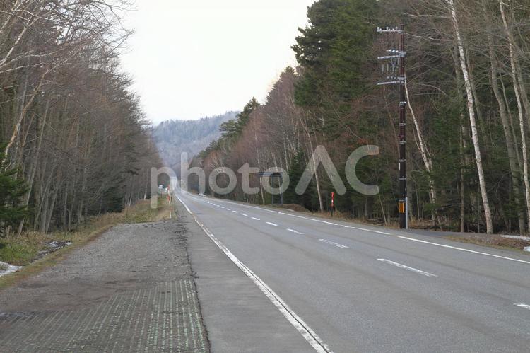 タウシュベツ川橋梁跡付近の国道273号線 国鉄,士幌線,上士幌町の写真素材