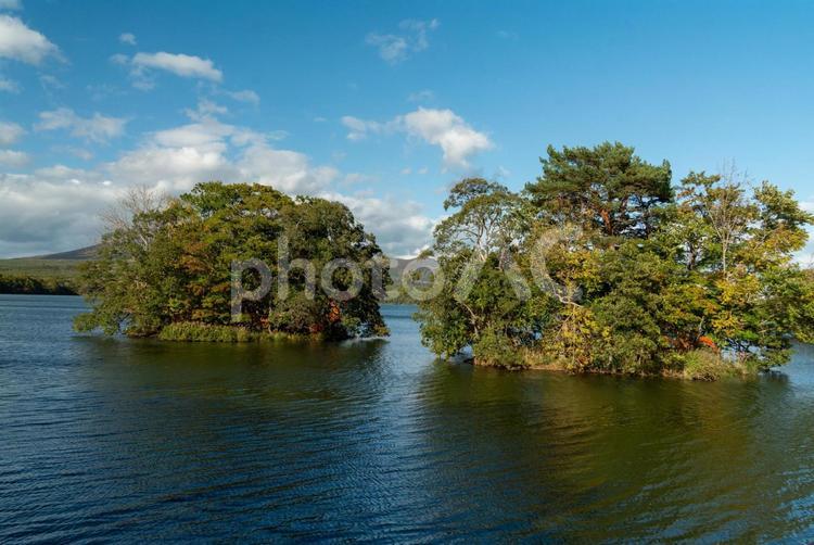 秋の函館、大沼 大沼,樹々,湖面の写真素材