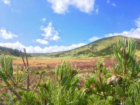 山の秋の訪れ（福島県、浄土平） 山,自然,秋の写真素材
