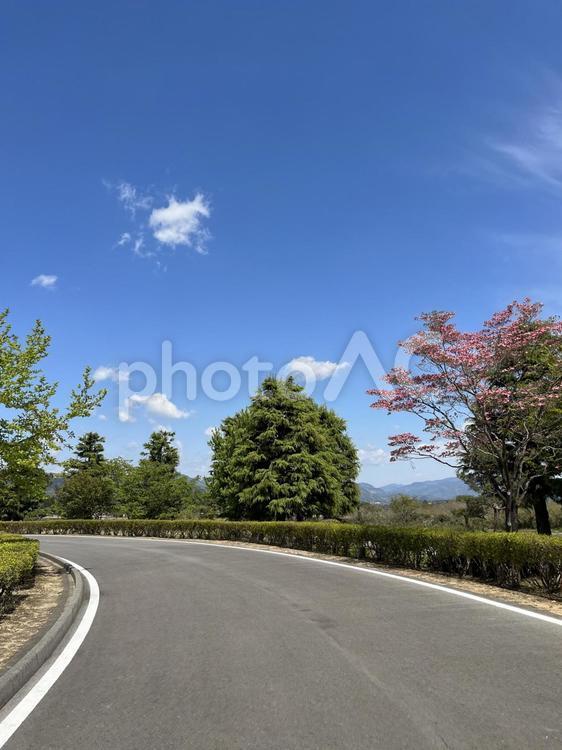 青空とサイクリングコース 空,サイクリング,道路の写真素材