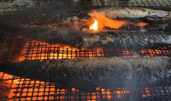 秋刀魚(さんま)を炭火で網焼き 秋刀魚(さんま)を炭火で網焼き さんま,サンマ,秋刀魚の写真素材