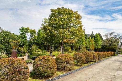 慈眼寺⑻ 慈眼寺⑻ 寺,慈眼寺,神社仏閣の写真素材